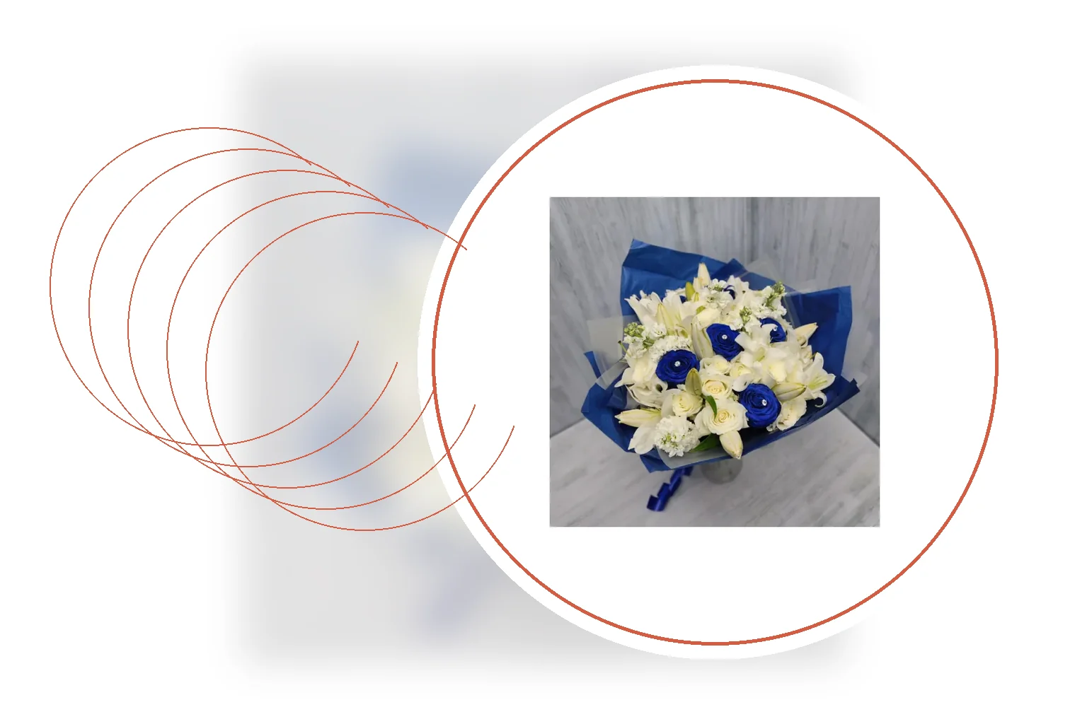 Editorial floral composition representing flowers and florist enquiries in Durban in South Africa